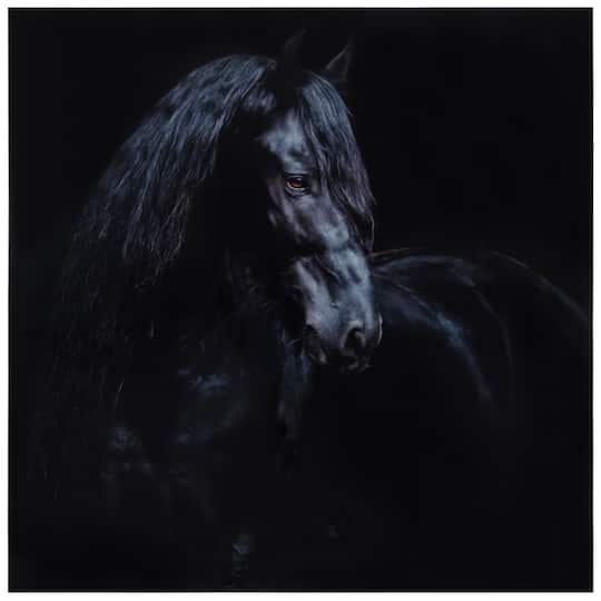Empire Art Direct 38" x 38" Black Equine Attraction Frameless Printed Tempered Glass Wall Art